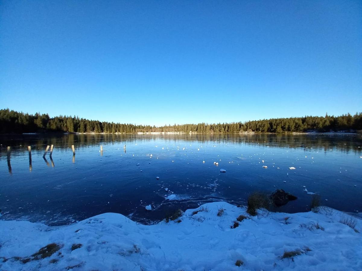 Les Gites De Recoleine Nébouzat Exteriör bild